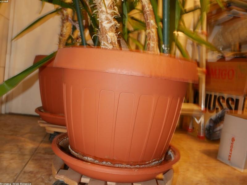 Bathroom Renovation Cost 2026